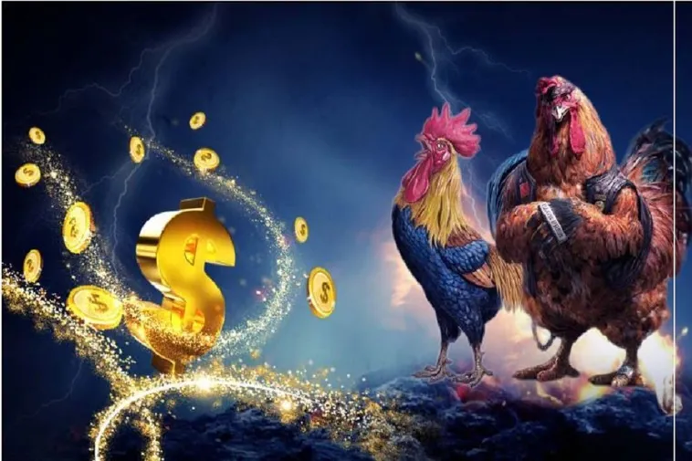 Đá Gà MU88 Trực Tiếp Đỉnh Cao Chinh Phục Mọi Kèo Cược